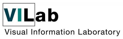 Visual Information Laboratory